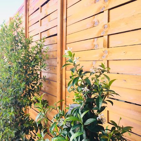 Quinta Dos Netos Villa Tavira Ngoại thất bức ảnh